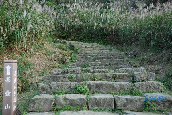 茶壺山-29.jpg