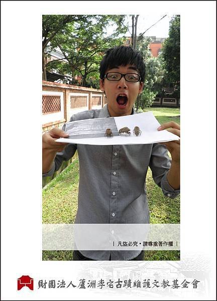 蟬想4