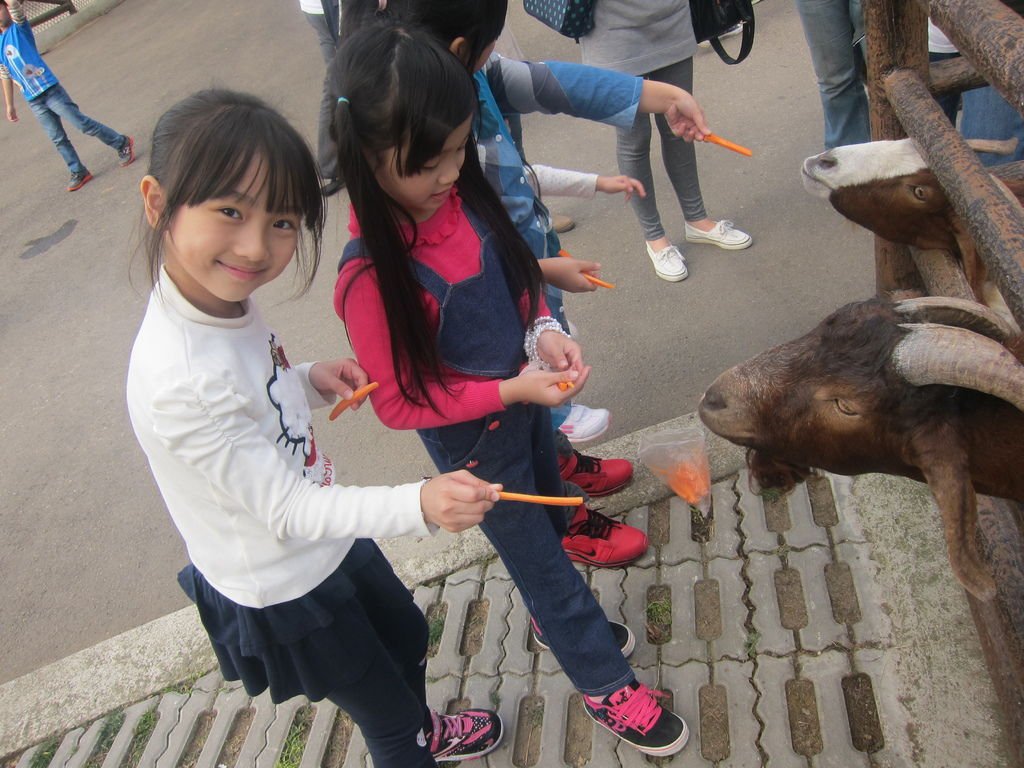 2014012819.JPG