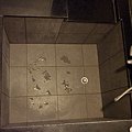 P1010104.JPG