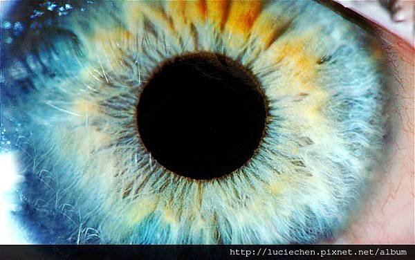 eye_1819937b