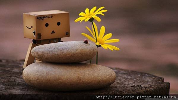 danbo-and-zen-pebbles_00447775