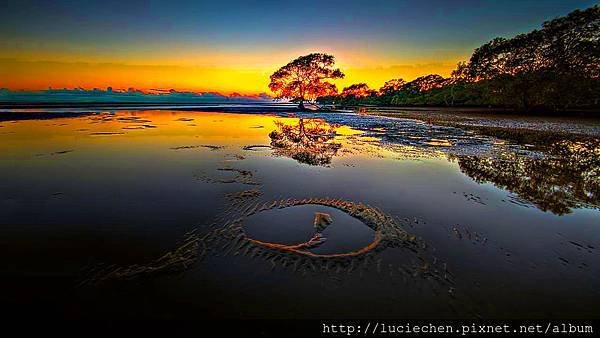 the-flame-tree-ember-forest-lake-ray-reflection-tree