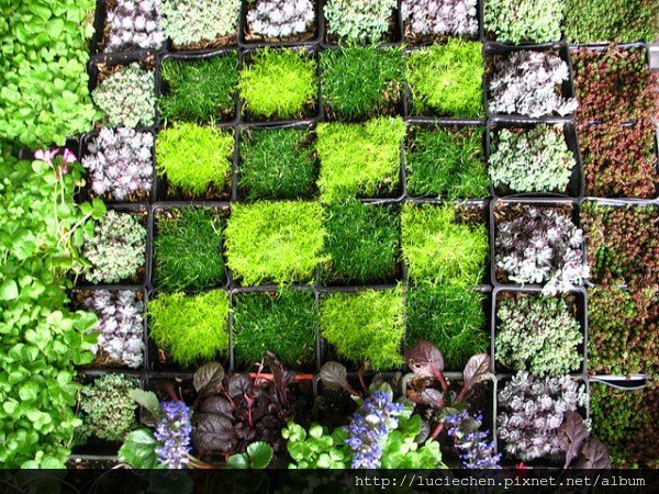 vertical-wall-garden-600x450