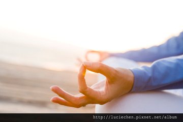 meditation_hand_spice_tree_munnar