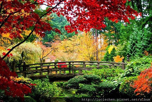 garden-bridges-5830x3890-wallpaper-2322780