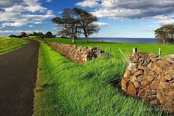 Stone Fence, Yorkshire Dales, England1