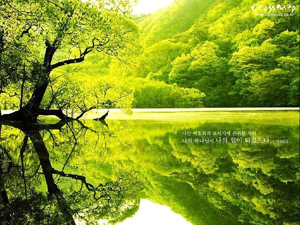 green-tree-lake_1025x768_24541