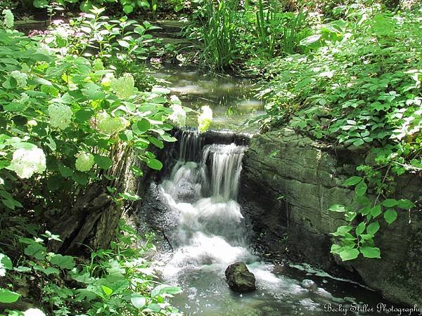 River and Greenery