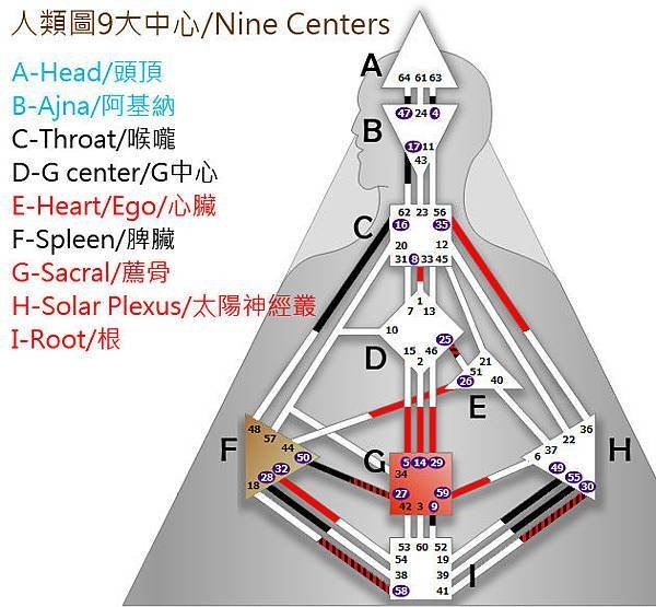 九大中心