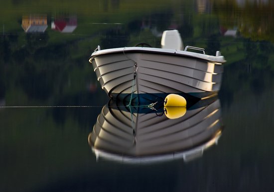 reflection_29