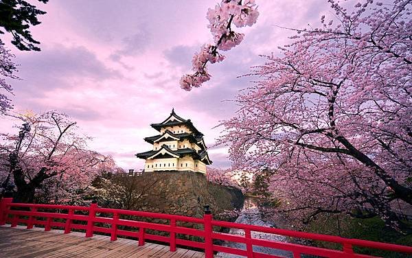 171564__japan-hirosaki-castle-trees-flowering-cherry-flowering-bridge-pond-sky-clouds_p