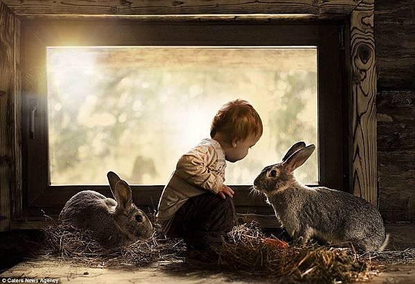 kid-animals-rabbits