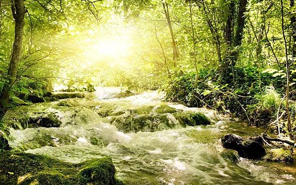 Spring-Stream-Wallpaper-334488