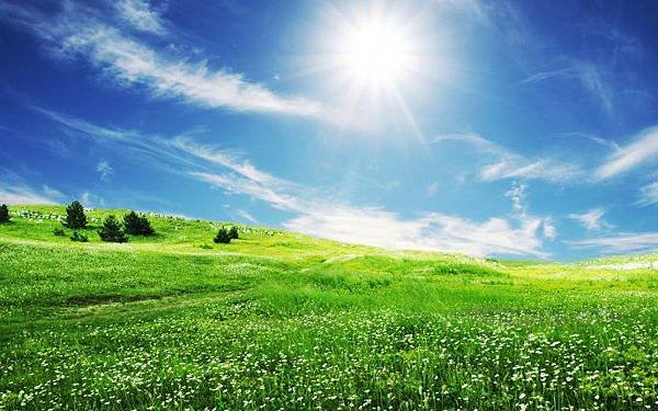 6873_The-smile-of-sun-over-the-beautiful-nature-HD-wallpaper