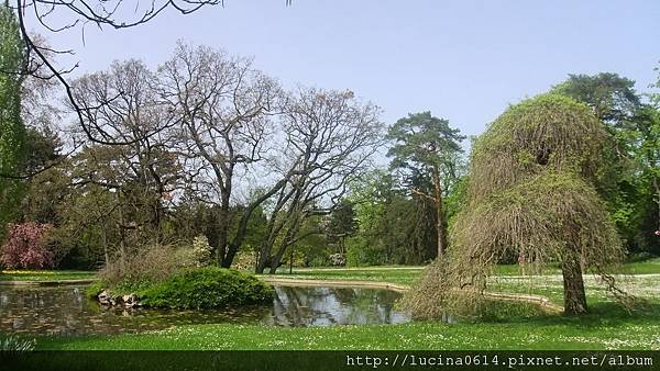 DSCF2759.JPG