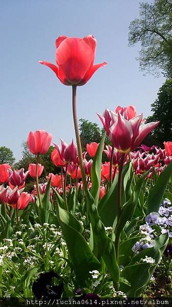 DSCF2786.JPG