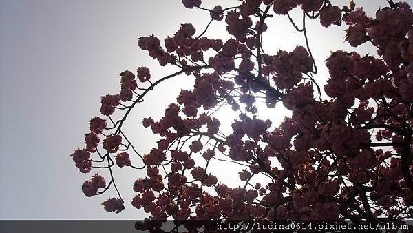 DSCF2795.JPG