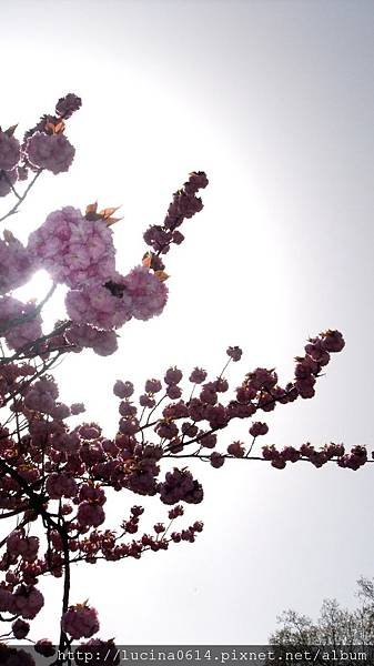 DSCF2805.JPG