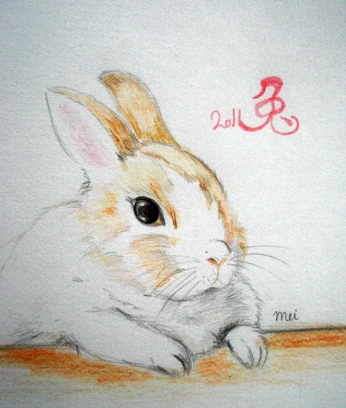 2011~兔年