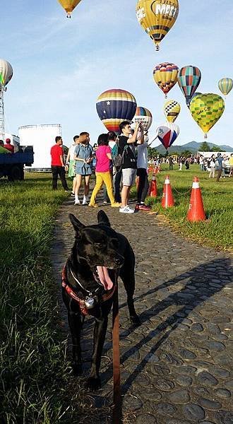 2016熱氣球開始~~~歡迎來東園住宿