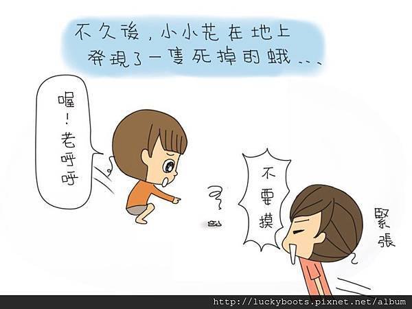 老呼呼的可憐故事03