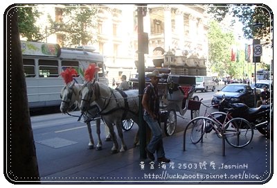 01DSC08835.JPG