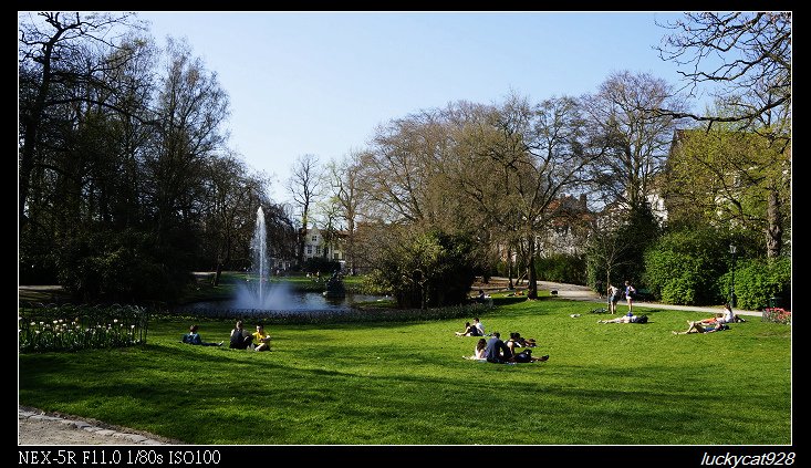 DSC5573.jpg