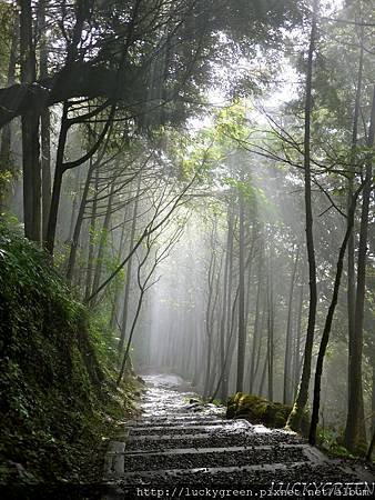 P1290858_结果.JPG
