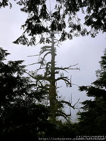 P1290869_结果.JPG