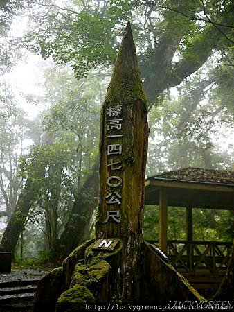 P1290944_结果.JPG