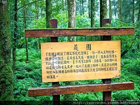 P1290980_结果.JPG