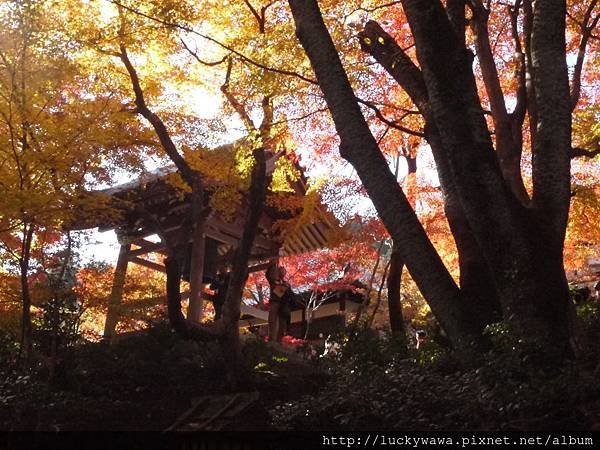 常寂光寺