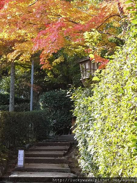 常寂光寺