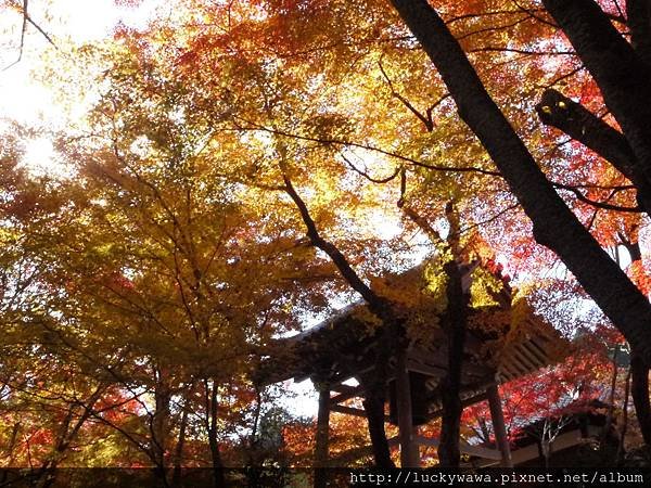 常寂光寺