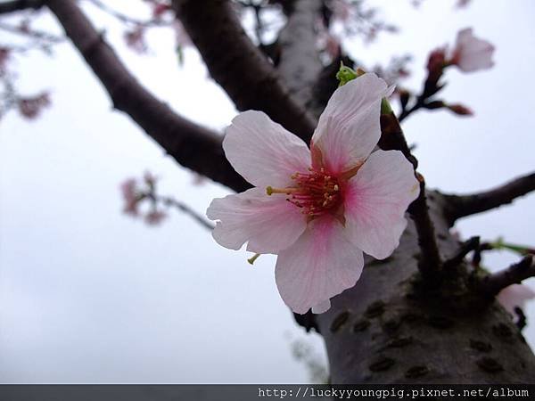 DSCF4308