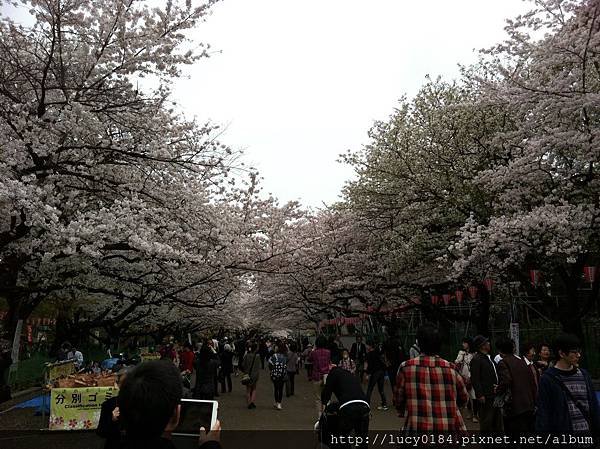 上野東園