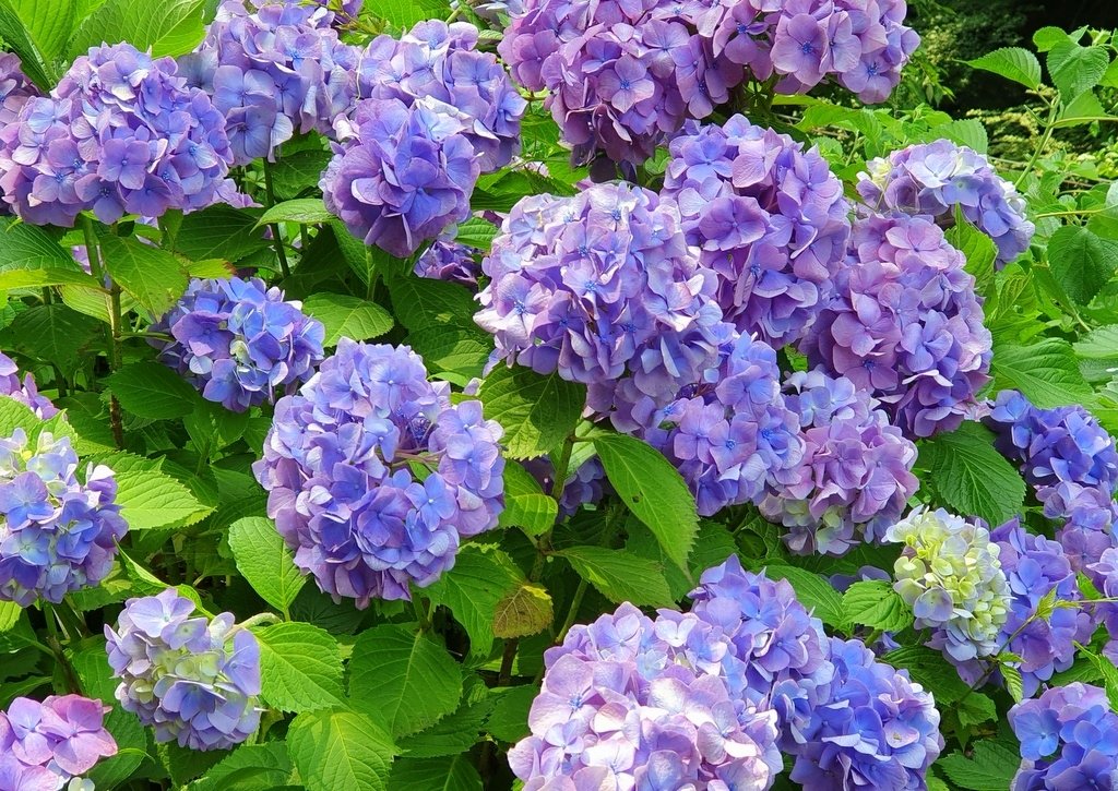 20190620_125135.jpg