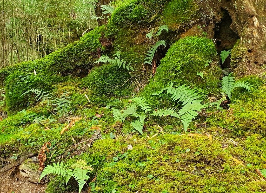 20211008_142944.jpg