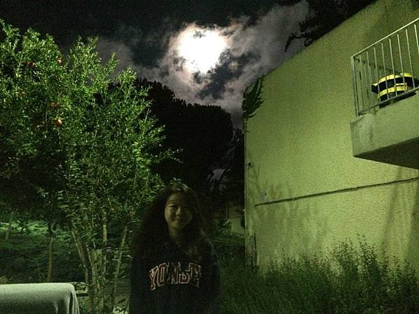 Moon Festival