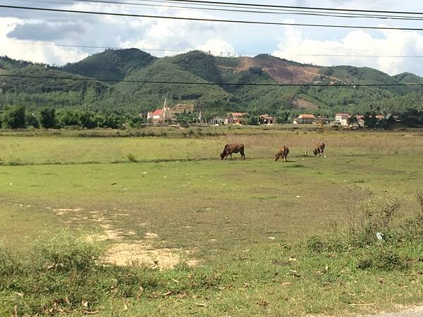 Phong Nha