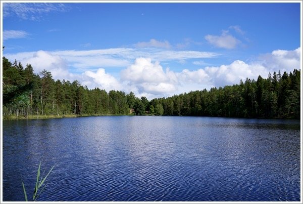 2017_0802_HEL_Nuuksio_RX1_44.JPG