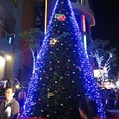 42-IMG_3371