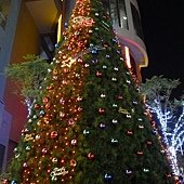 45-P1050851