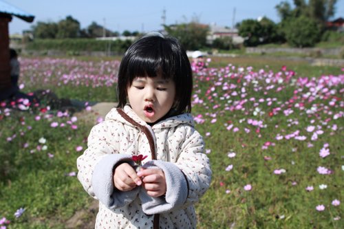 通宵花海05.jpg