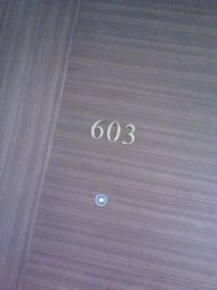 603.jpg