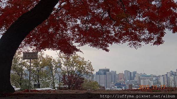 DSC00686