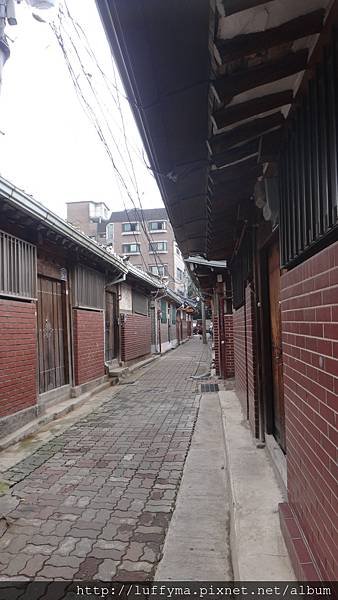 DSC01296.JPG