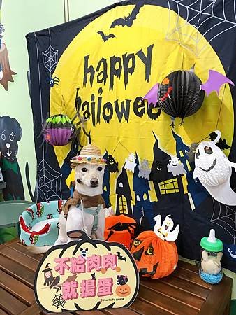 IMG_6162.JPG