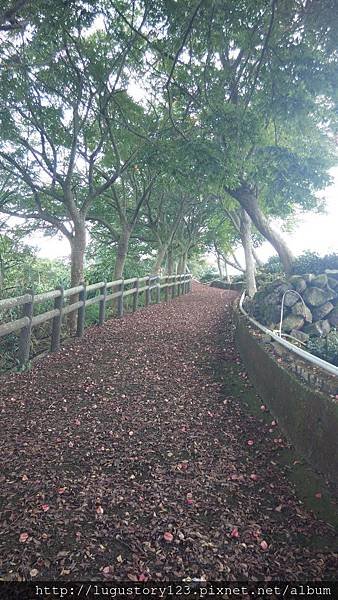 鹿谷景點:麒麟潭 鳳凰山之登山古道 鹿谷故事館背包客棧溪頭民宿 lugustoryhouse backpacker hostel